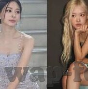 世界杯阿根廷的中场-世界杯阿根廷的中场，技艺与策略的完美融合